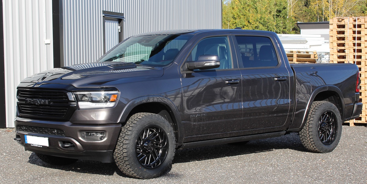 D57 2010 3312520 Blackbear (7)