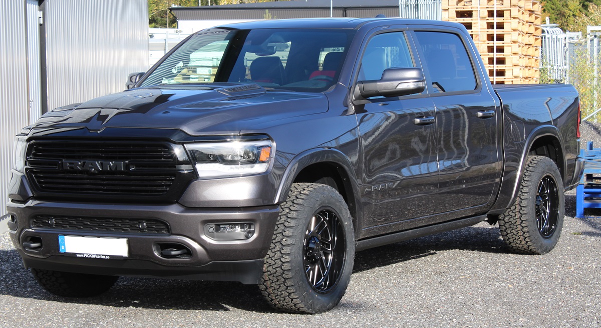 D57 2010 3312520 Blackbear (9)